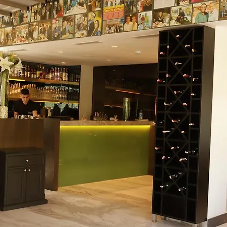 Park Hotel Estambul
